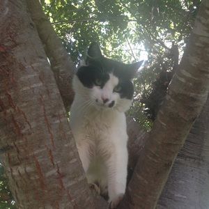 Meet your Posher, Lydia